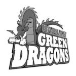 Green Dragons- Expert Demolition Estimating Service